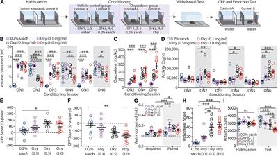 Anterior cingulate cortex and its projections to the ventral tegmental area regulate opioid withdrawal, the formation of opioid context associations and context-induced drug seeking